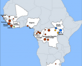 Timeline: Origination and History of Ebola Outbreaks