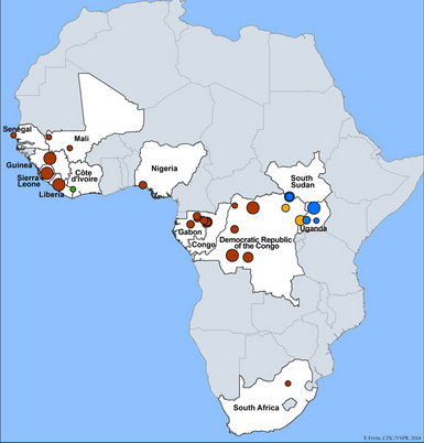 Timeline: Origination and History of Ebola Outbreaks